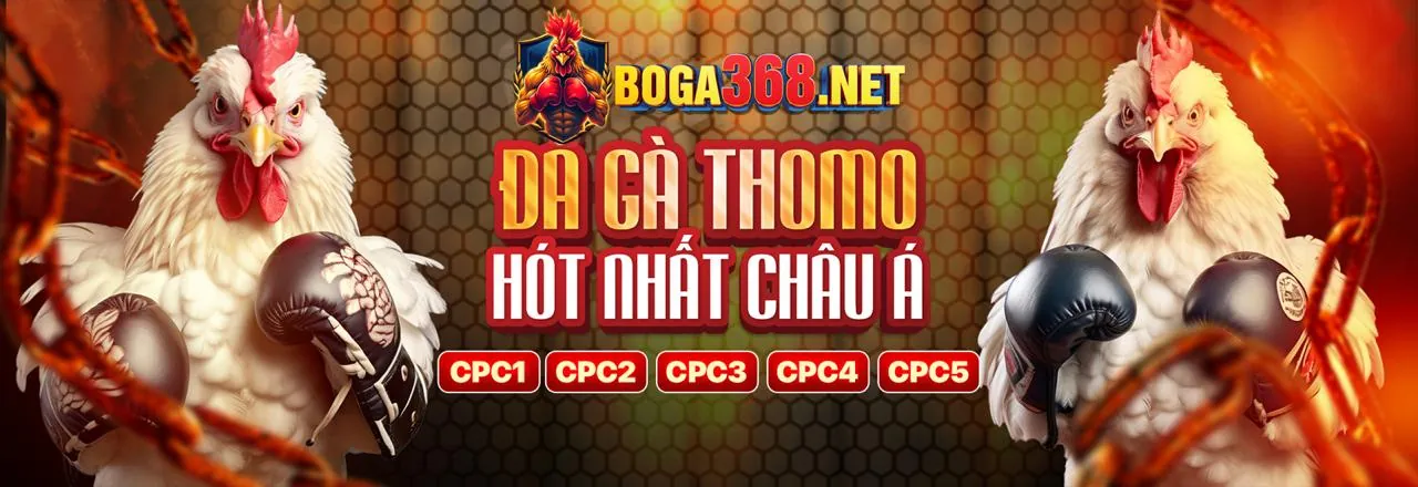Hình ảnh đá gà trực tuyến nhap xin88 xin88