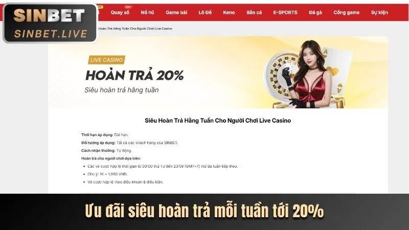 Hoàn trả hàng ngày cho cá cược thể thao và casino